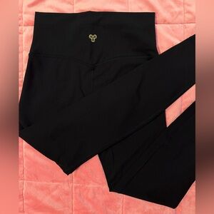 TNA GOLDEN Aritzia Leggings